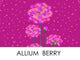 Allium Berry