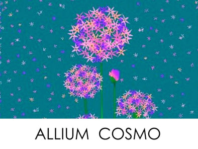 Kimono Classic / Allium Cosmo