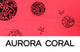 Aurora Coral