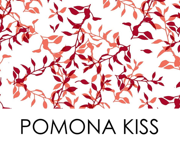 Audrey Top / Pomona Kiss