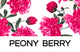 Peony Berry
