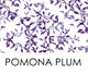 Pomona Plum