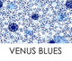 Venus Blues
