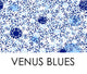 Venus Blues