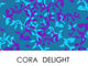 Cora Delight