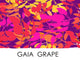 Gaia Grape