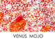 Venus Mojo