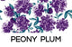 Peony Plum