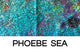 Phoebe Sea